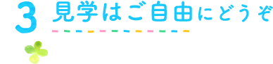 3見学はご自由にどうぞ